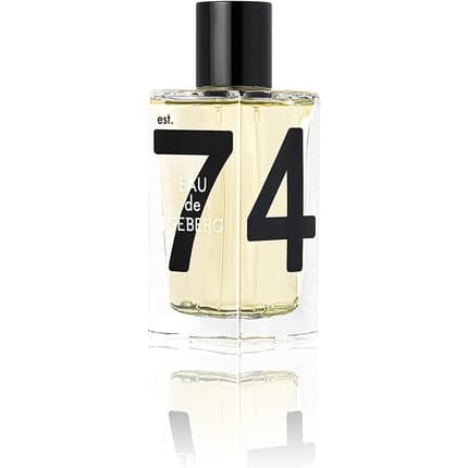 Iceberg Eau de Homme's Eau de Toilette 100ml for men