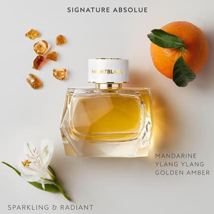 Mont Blanc Mb Absolute Signature Water Perfume 90ml