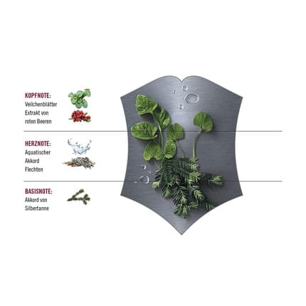 Victorinox Steel with Violet Leaves and White Fir Aquatic and Fresh Eau de Toilette 100ml for men