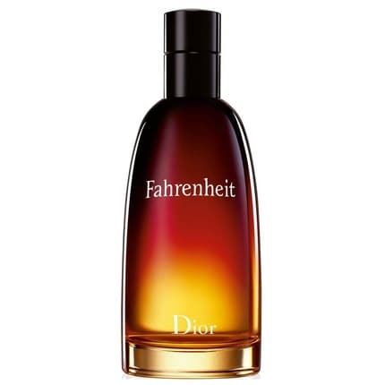 Christian Dior Fahrenheit Eau de Toilette (EDT) Mixte 100ml