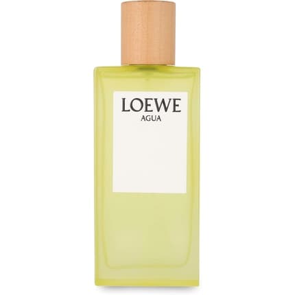 Loewe Agua De Eau de Toilette 100ml Unisexe