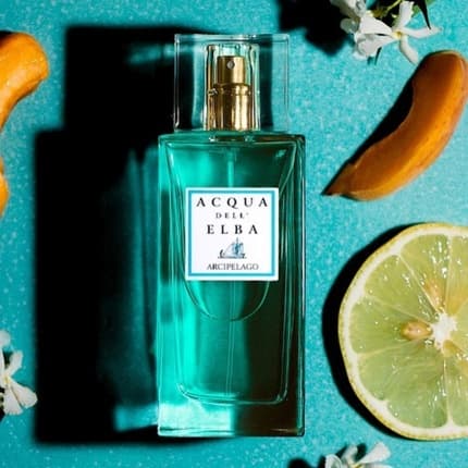 Acqua Dell'elba Acqua Eau de Toilette (EDT) Mixte 100ml
