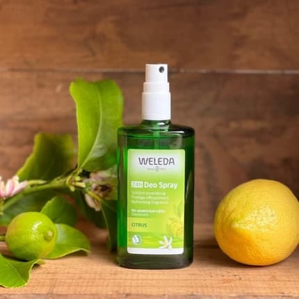 Weleda 6355 Citrus Deodorant 3.4 Fluid ounce