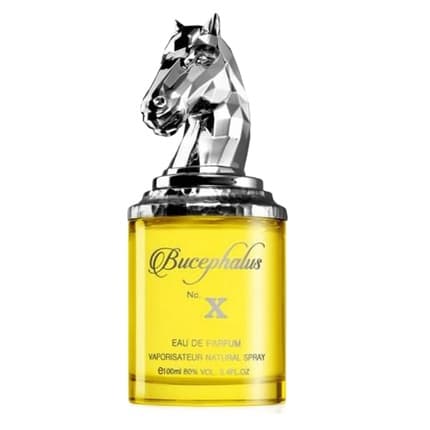 Armaf Buechalus X - Eau de Parfum 100ml - Style 2