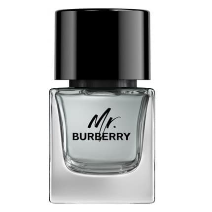 Burberry Mr. Burberry Eau de Toilette 50 ml