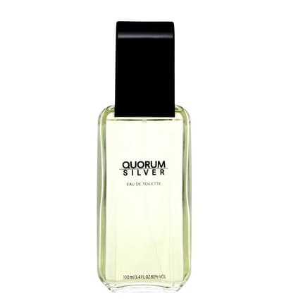 PUIG Quorum Silver Eau De Toilette Spray 100ml 3.4oz