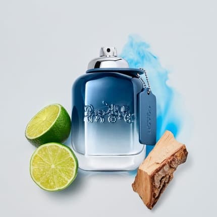 Coach Blue Eau de Parfum Homme 100 ml