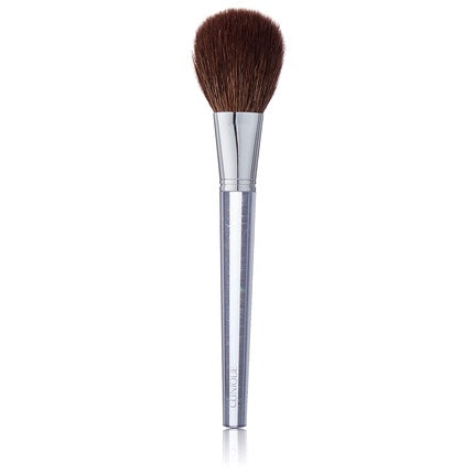 Powder Brush for Women clinic