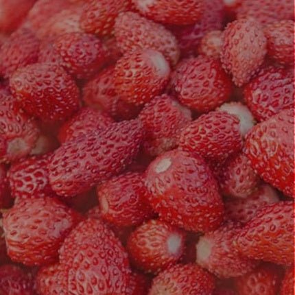 Aquolina Fragrant Body Water with Wild Strawberry Eau de Toilette (EDT) Mixte 236ml - Maison des fragrances