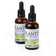 Art Agricola Plantis 21 Mustard 10ml - Maison des fragrances