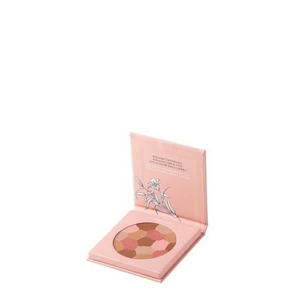 Astra Pure Beauty Mosaic Face Powder 01 Mother Earth - Maison des fragrances