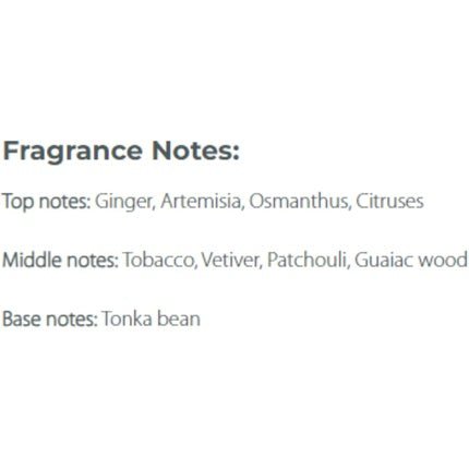 Auraa Desire Intensus Extrait De Parfum Parfum (Parfum) Homme 100ml - Maison des fragrances