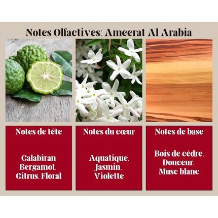 Ayat Perfumes Ameerat Al Arabia - Arabian Oriental Fragrance Eau de Parfum (EDP) Femme 100ml - Maison des fragrances