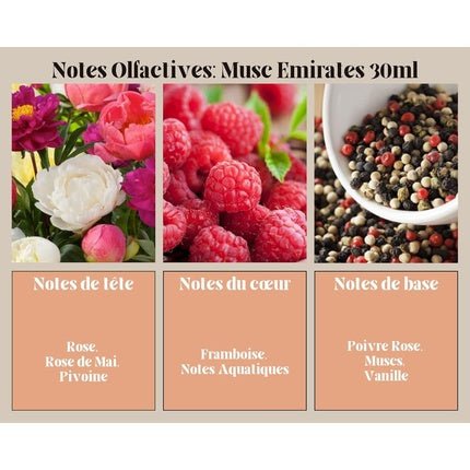 Ayat Perfumes MUSK EMIRATES Oriental Arab - Original Gift Idea and Eau de Parfum (EDP) Femme 30ml - Maison des fragrances
