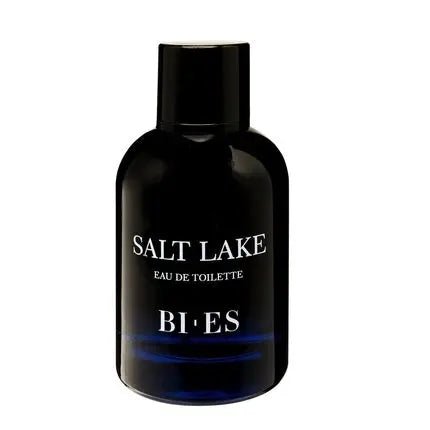Bi-Es Salt Lake Eau de toilette Homme 100ml - Maison des fragrances