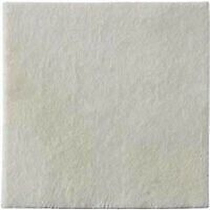 Biatain Alginate 10x10 10 Pieces - Maison des fragrances