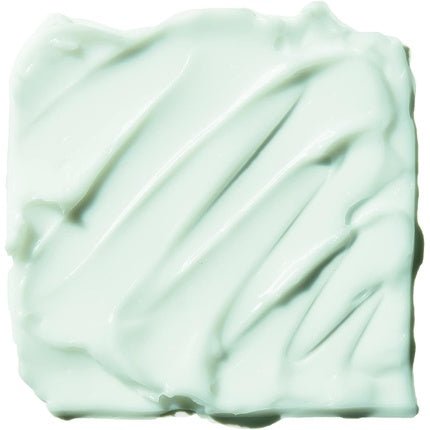 Blemish Control Face Primer Small Long Lasting Skin Perfecting Matte Finish Infused with Salicylic Acid Vitamin E and Tea Tree 14ml - Maison des fragrances
