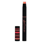Bourjois Paris Lip Duo Sculpt 2 in 1 Liner and Lipstick 0.5g Peach Shake - Maison des fragrances