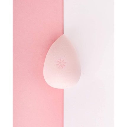 Brushworks Complexion Sponge - Maison des fragrances