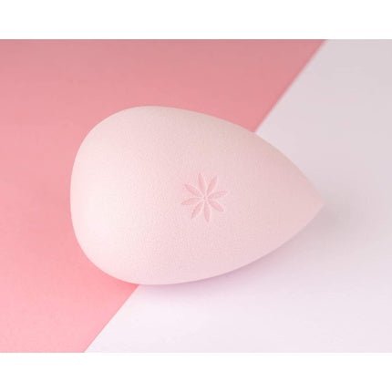 Brushworks Complexion Sponge - Maison des fragrances