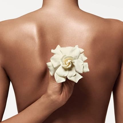 Donna Karan Cashmere Mist Eau de Toilette (EDT) Femme 100ml - Maison des fragrances