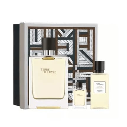 Hermès Hermes Terre D'Hermes 's Gift Set Eau de Toilette 100ml for men
