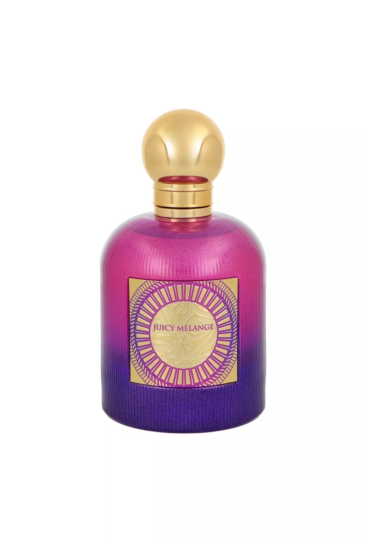 Emir Juicy Melange Eau de Parfum (EDP) Mixte 100ml - Maison des fragrances