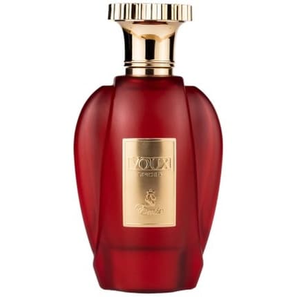 Emir Voux Spices Eau de Parfum (EDP) Mixte 100ml - Maison des fragrances