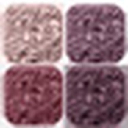 Felineyes Intense Eyeshadow Quad Palette 4.8g Shade 7 Passionate Dahlia - Maison des fragrances