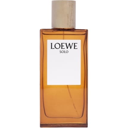 Loewe Solo Eau de Toilette 100ml Unisexe