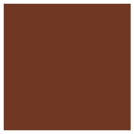 Lancome Complexion Idole Ultra Wear Stick Foundation 550 Suede C 14 Brownie - Maison des fragrances
