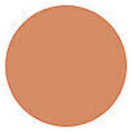 Lirene Concealing Foundation Camouflaging Imperfections With Vitamin E 22 Natural 30ml - Maison des fragrances