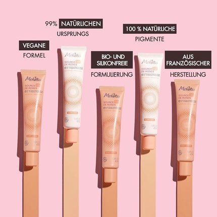 Melvita BB Cream Source de Roses Gold 100% Natural Pigments Certified Organic Silicone - Free Natural Coverage 6 - in - 1 40ml - Maison des fragrances