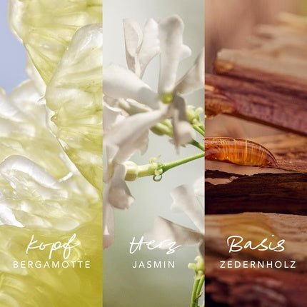 Mexx Inspired Nature - Floral Fruity Fragrance Eau de Parfum (EDP) Femme - Maison des fragrances