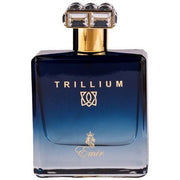 Paris Corner Emir Trillium Eau de Parfum (EDP) Mixte 100ml - Maison des fragrances