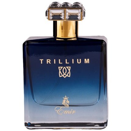 Paris Corner Emir Trillium Eau de Parfum (EDP) Mixte 100ml - Maison des fragrances