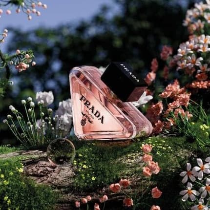 Prada Paradoxe and - Pack of 2 Eau de Parfum (EDP) Mixte 50ml - Maison des fragrances