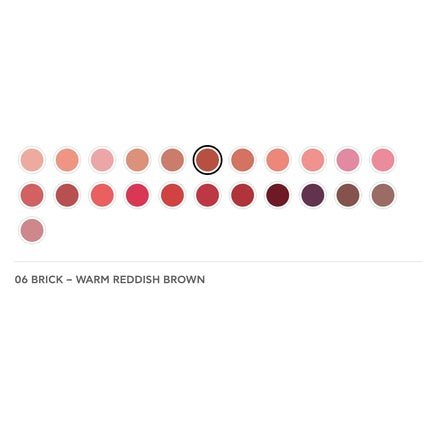 Radiant Professional Advanced Care Lipstick Ultra Nourishing Matte Lipstick With Vitamin E 06 Brick Warm Reddish Brown - Maison des fragrances