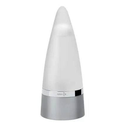 Rochas Man Eau de Toilette 100ml pour homme - Maison des fragrances