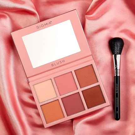 Sigma Beauty Professional F10 Powder/Blush Brush - Vegan, Hypoallergenic, Synthetic Makeup Brush - Maison des fragrances