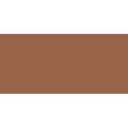 Skin Corrector Stick 3g Shade Very Deep Bisque - Maison des fragrances