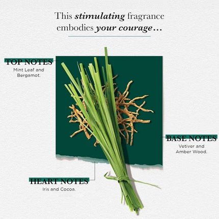 Solinotes Vetiver Perfume - Bold and Sensual Adventure Eau de Parfum (EDP) Homme - Maison des fragrances