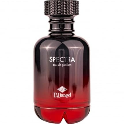 Tadé Angel Tad Angel Spectra Eau de Parfum (EDP) Homme 100ml - Maison des fragrances