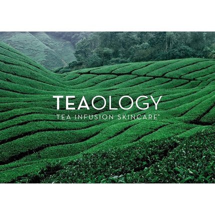 Teaology Vanilla Tea Lip Balm with Antioxidant Tea Extract 23g - Maison des fragrances