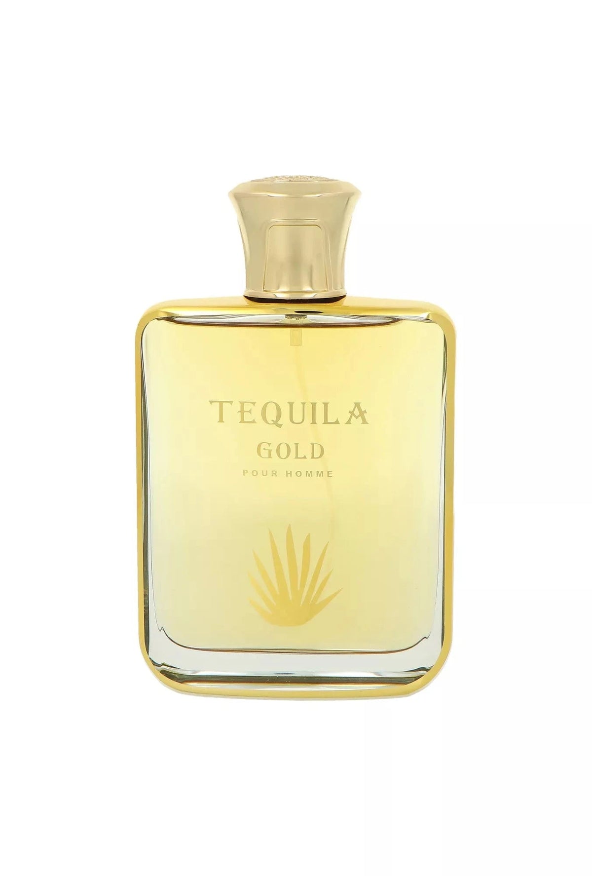 Tequila Parfum s Tequila Gold Eau de Parfum (EDP) Homme 100ml - Maison des fragrances