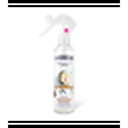 The Fruit Company Liquid Deodorant Déodorant (Déo) Mixte 250ml - Maison des fragrances