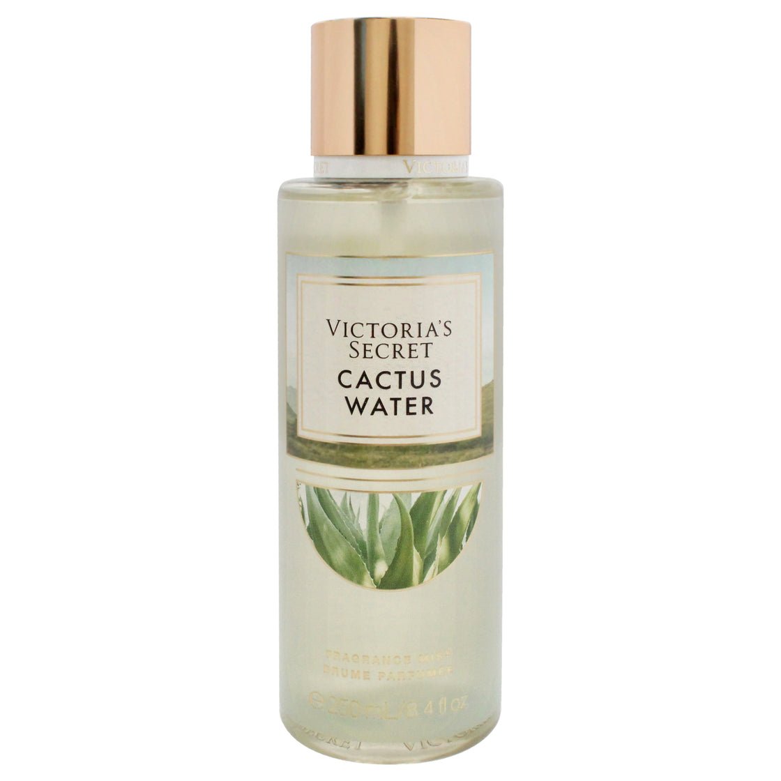 Victoria's Secret Cactus Water Fragrance Mist Eau de Toilette (EDT) Mixte 250ml - Maison des fragrances