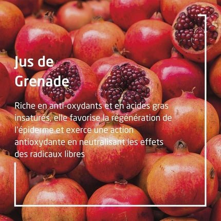 Weleda Pomegranate Deodorant Roll-On 24h - Pack of 2 Déodorant (Déo) Mixte 50ml - Maison des fragrances