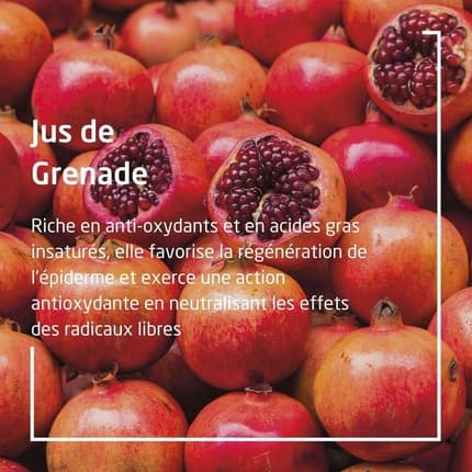 Weleda Pomegranate Deodorant Roll-On 24h - Pack of 2 Déodorant (Déo) Mixte 50ml - Maison des fragrances