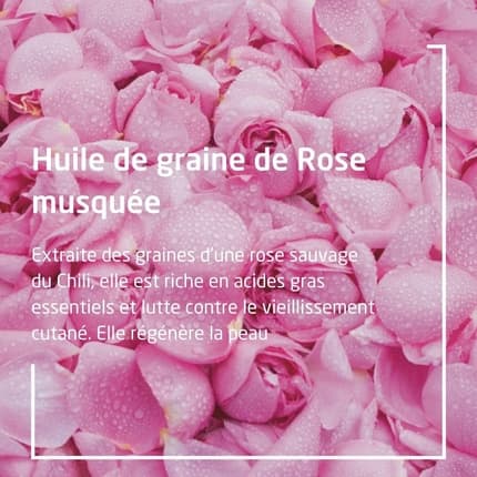 Weleda Rose Deodorant Duo - Pack of 2 Déodorant (Déo) Mixte 100ml - Maison des fragrances